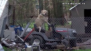 18K views · 593 reactions | WATCH: While surveying storm damage in...