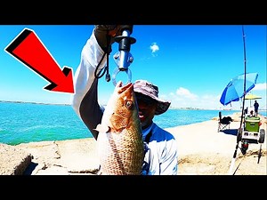 Catching Texas Mangrove Snapper at the Surfside Jetty| CATCH AND COOK