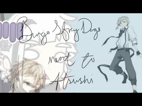 Bsd react to Atsushi 3/3 (finally complete)