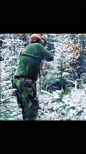 Snow Hunting Black Bear🐻at Close Range 😲Heart-Pounding Shot#challenge#wildlife#nature#bear#hunting