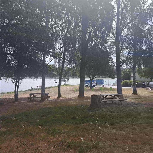 La base de loisirs du lac de Moulin Papon à La Roche-sur-Yon est ouverte. La nature aux portes de la ville. | ici Loire Océan
