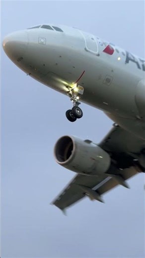 Bike and Beautiful Aircraft Landing Gravelly point DCA Final Approach ✈️🕊️ #v1jetaviation #airport