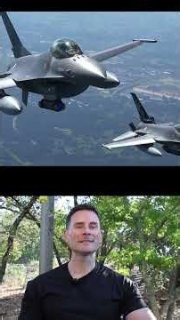 How Does A Bird Take Down An F-16?