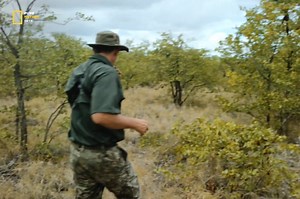 169K views · 9.2K reactions | White Gold - Hindi Documentary Part 2 #animals #jungle #wildanimals #survival #documentary #purenaturehdtv | Pure Nature HDTv | Facebook