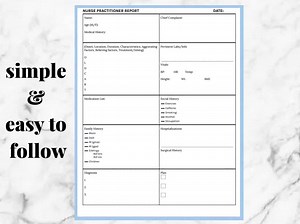Nurse Practitioner Report Sheet: Patient Assessment Template (PDF & Word) - Etsy
