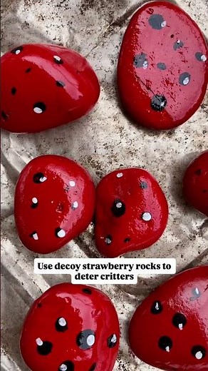 19 Genius Gardening Hacks That Actually Work! #gardenhack #gardeninghacks #gardening