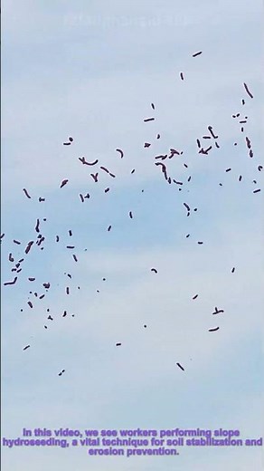 Slope Hydroseeding: How Workers Control Erosion and Restore Vegetation on Steep Lands