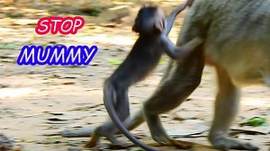 STOP MUMMY ,WHERE ARE YOU GOING ? ,WHY YOU DON'T TAKE ME WITH YOU ?, I DON'T WANT TO STAY HERE ALONE. | Technology AdsPlus