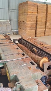 422K views · 624 reactions | This big machine works on tree logs like they were toothpicks | Simple ideas | Facebook