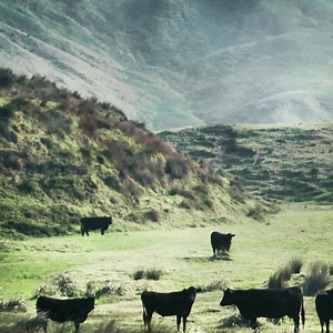 166 reactions · 5 comments | Test drive any new Hyundai during Good as Gold Fieldays® and you’ll be in to win a Bailey Phoenix 640 caravan worth $57,990! | Hyundai NZ | Facebook