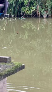 83K views · 442 reactions | GURU MATCH ACADEMY - LAST HOUR ⏰ | Tackle Guru | Facebook