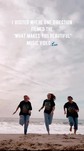 One Direction Beach Music Video with Harry Styles and Friends