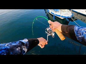 【穴釣り】小さな隙間には大きな根魚が隠れている🐟