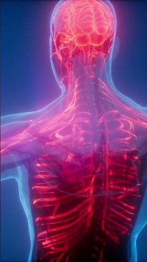 Build More Muscle After 50 With This Natural Performance Enhancer