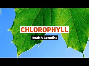 Chlorophyll Benefits for Health | Thea health benefits of Chlorophyll | liquid chlorophyll benefits