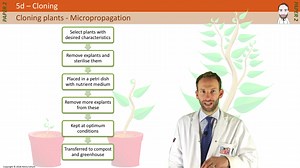Cloning Plants - Micropropagation (tissue culture)