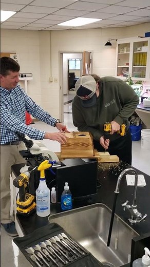 Screech owl box A3 attachment to tree mount #nature