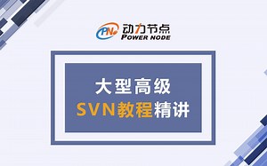 SVN实战精讲-SVN从入门到精通