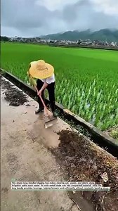 A Simple Farm Tool That Clears Soil Fast! 🌾 #FarmTools #AgriTech #Shorts