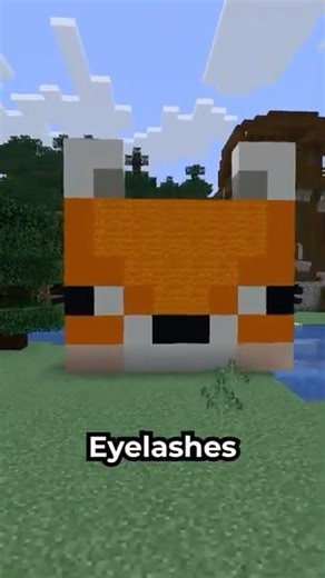 Eylashes
