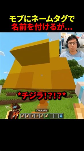 モブにネームタグを装備