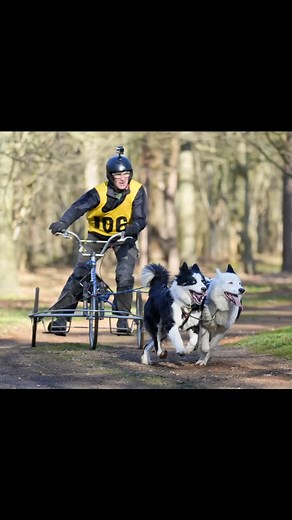 37 reactions · 4 comments | Amazing news for all our UK based...