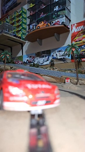 Peugeot 307 WRC | Jaime Garrido Melilla