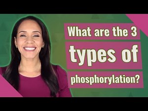 What are the 3 types of phosphorylation?