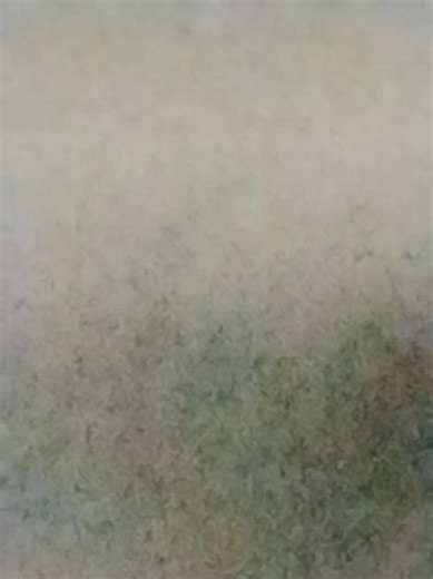 Sarah P (@sarah.p6996)’s videos with original sound - Sarah P