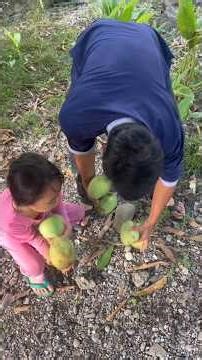 The mangoes are covered in worms🐍🥭😩✨ #shortvideo #nature #food