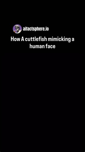 aifactsphere.io | A cuttlefish mimicking a human face is a fascinating example of nature’s intelligence and illusion. Cuttlefish have highly advanced skin... | Instagram
