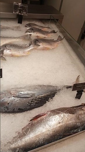 Variety of Fish | Different Types of Fish | Amazing Fish Collection 🐟