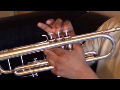 ALGO ESTA CAYENDO AQUI / EL MEJOR TUTORIAL DE TROMPETA