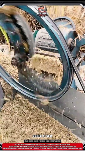 Straw Chopper machine Processing 500 kg During Farm Work