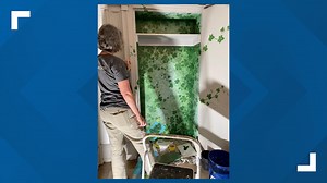 'Whimsical' mural from award-winning Camp Hill artist unveiled at McCormick Riverfront Library