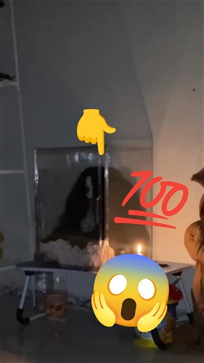 BLOODY MARY capture in mobile camera😱💀#horrorstories #horrorshorts #horror #bloodymary #thespokenpen