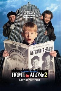 Home Alone 2: Lost in New York | Cast and Crew | Rotten Tomatoes