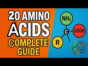 The Ultimate Guide to Amino Acids | Structure, Classification & Functions