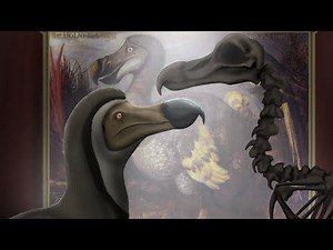 The Ballad of the Dodo: Animation Showcase
