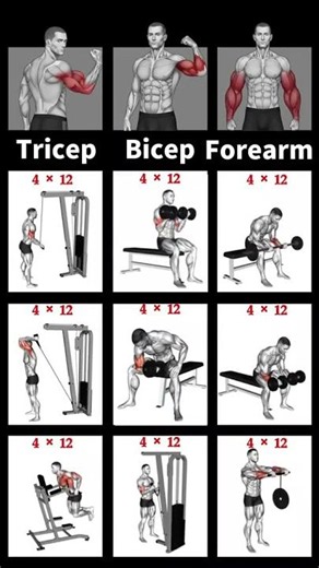 💪 Bigger Arms Fast! Best Biceps, Triceps & Forearm Workout for Massive Arms