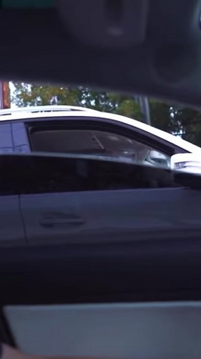 karen doesnt like jumping teslas