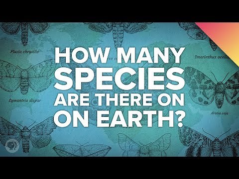How Many Species Are There?