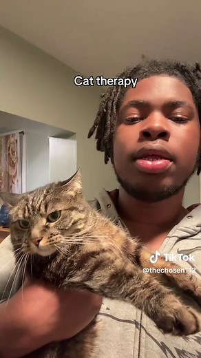 Cat Therapy: Reduce Stress and Anxiety