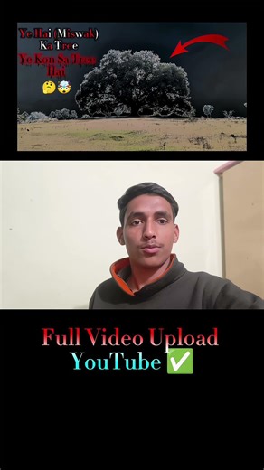Ye Kon Sa Tree Hai 🤔🤯 #vlog #viral