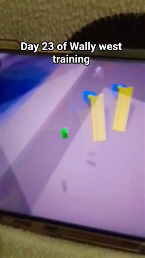 fly high Roblox greenbean