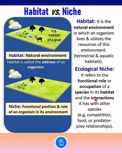 Difference between Habitat and Niche | Ecological Niche | KVS PGT BIOLOGY