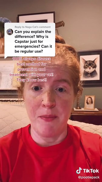 Emergency Flea Treatment for Cats - How to Use Capstar