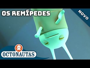 Octonautas - Os Remípedes | Episódio inteiro 13 | Primeira Temporada