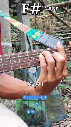 How To Play F# Major Capo 1 Fret Guitar Chord 🎸 #guitarlesson