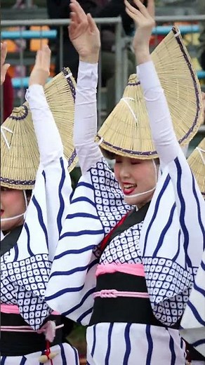 阿波踊り！ 殿様連 はなはるフェスタ2023